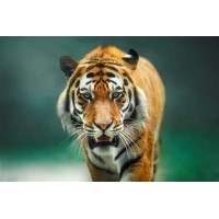 HarishTech logo - Similar company to Hares