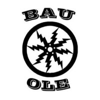 BAU Electric Car Team logo - Similar company to Rfq Line - Built-To-Order Parts/Assemblies
