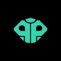 PentestPilot logo - Similar company to Aaquib & Brothers