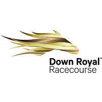 Down Royal Racecourse logo - Similar company to Downpatrick Racecourse
