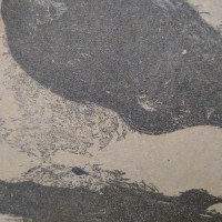 Chandler Fine Art And Framing