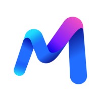 Mesh Security logo - Similar company to Merlinx