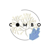 COMBO logo - Similar company to Marbles Eu Project