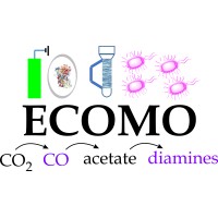 ECOMO-EIC logo - Similar company to Waste And Biomass Valorization
