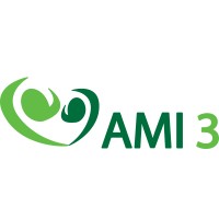 Asociación AMi3 logo - Similar company to Informática Borsan