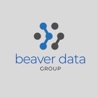 Beaver Data Group logo - Similar company to Devarch Digital