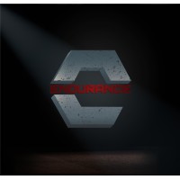 Endurance Management logo - Similar company to The Collaborative Llc