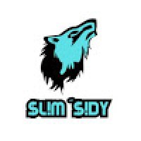 slim sidy logo - Similar company to Sidyum