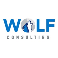 Wolf Consulting LLC logo - Similar company to Right Hand Technology Group