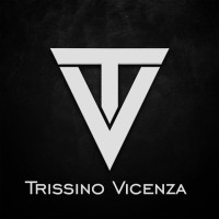 Trissino Vicenza Holding LLC. logo - Similar company to Studio Integrato Di Consulenza - Dottori Commercialisti A Vicenza