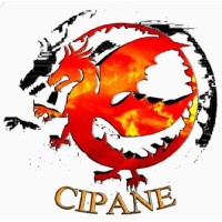 CIPANE Cyber Security Consultants Ltd logo - Similar company to Oneflare Tech Solutions