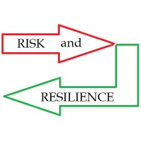 Risk and Resilience Consulting logo - Similar company to Wellforces Llc