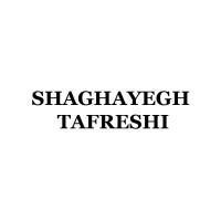 Shaghayegh Tafreshi logo - Similar company to Former Director