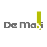 de masi srl logo - Similar company to Icolors