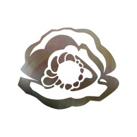 Mother of Pearl Collective logo - Similar company to Institution Lab Aps