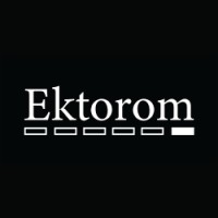 Ektorom Software Inc. logo - Similar company to Beamng