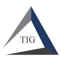 Theia Investment Group logo - Similar company to Elevare Group