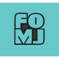 Fuzzy Optimization and Modeling Journal logo - Similar company to Fuzzy Logic