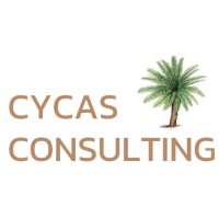 Cycas Consulting logo - Similar company to Cycas