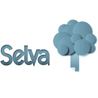 Selva Consulting logo - Similar company to Brainbiceps