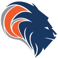 Blue Lion Software logo - Similar company to Accela