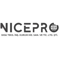 Nicepro Kurumsal Hizmetler logo - Similar company to Borkim