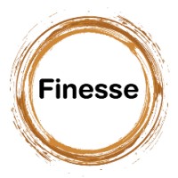 Finesse Media Services logo - Similar company to Junefirst Ab