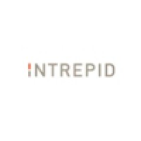Intrepid Consultants