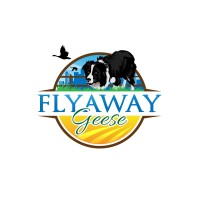 Flyaway Geese