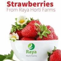 Raya Horti Farm logo - Similar company to Massa Farm