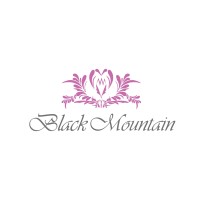 Black Mountain s.r.o. logo - Similar company to Black Mountain