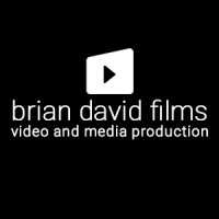 Brian David Films logo - Similar company to Black Tiger Creative