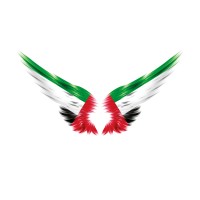 Emirates Angel Investors Association logo - Similar company to Strategic Development Fund (Sdf)