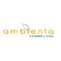 Ambienta45 logo - Similar company to Valorsites