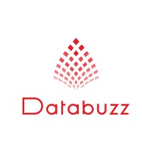 Databuzz logo - Similar company to Northstart Immigration