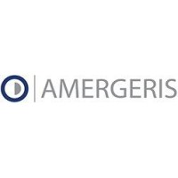 Amergeris Wealth Management Group logo - Similar company to Alkimia International Ltd