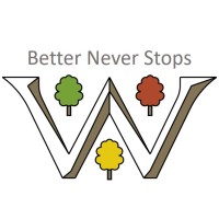 Waingels logo - Similar company to 7 Flowers