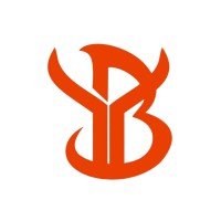 Baiyu Group HK logo - Similar company to Griner Solutions Llp