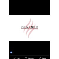 Proventus Management Solutions Ltd