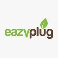EAZY PLUG USA logo - Similar company to Cruz Web Designs