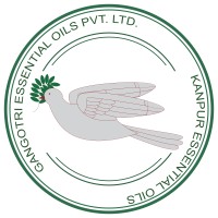 Gangotri Essential Oils Pvt. Ltd. logo - Similar company to Tevi Chem Llp