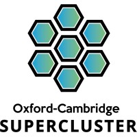 Oxford-Cambridge Supercluster Board logo - Similar company to Cambridge Ahead