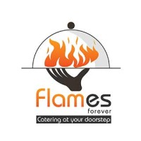Flames Forever logo - Similar company to Areva System