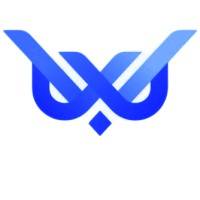 Wise Tech Consulting LLC logo - Similar company to Connectionhub