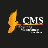 Consulting management services logo - Similar company to Acs Consulting Sarl