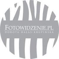 Fotowidzenie.pl logo - Similar company to Meritum Grupa Budowlana