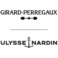 SOWIND GROUP SA logo - Similar company to Timeforge Llc