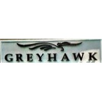 Greyhawk Search Partners logo - Similar company to Grayhawk Search - Finance Executive Search