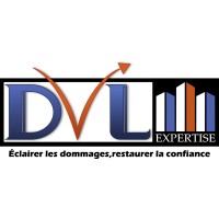 DVL Expertise logo - Similar company to 14K