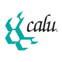 CALU - The Conference for Advanced Life Underwriting logo - Similar company to Dfsin Atlantic
